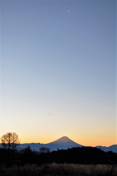 富士山と三日月.jpg